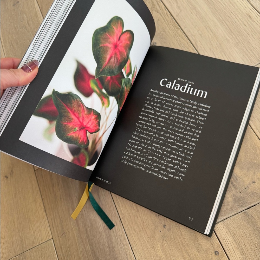 Plantopedia: The Definitive Guide to Houseplants - Black & Green - Picture 5 of 5